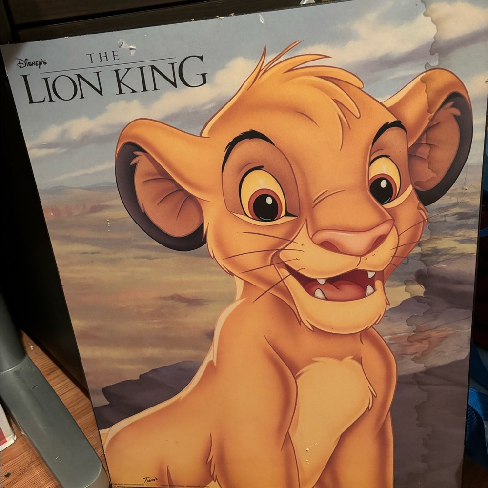 Simba- Lion King Picture